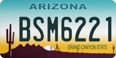 AZ license plate BSM6221