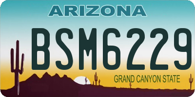 AZ license plate BSM6229