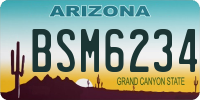 AZ license plate BSM6234