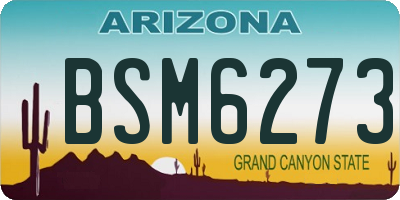 AZ license plate BSM6273