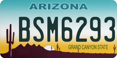 AZ license plate BSM6293