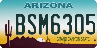 AZ license plate BSM6305