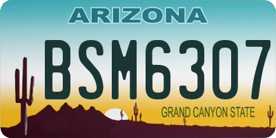 AZ license plate BSM6307
