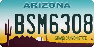 AZ license plate BSM6308