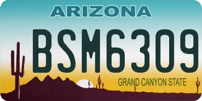 AZ license plate BSM6309