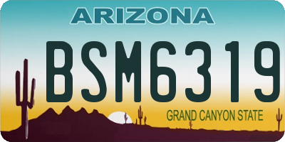 AZ license plate BSM6319