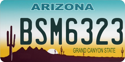 AZ license plate BSM6323