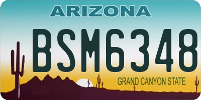 AZ license plate BSM6348