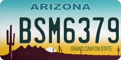 AZ license plate BSM6379