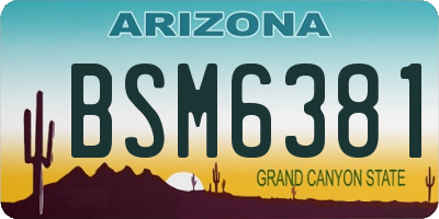 AZ license plate BSM6381