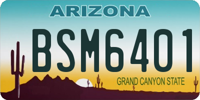 AZ license plate BSM6401