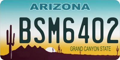 AZ license plate BSM6402