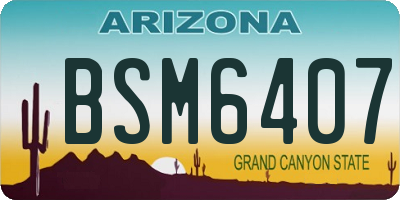 AZ license plate BSM6407