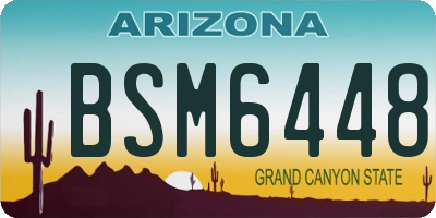 AZ license plate BSM6448