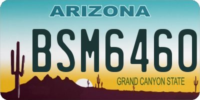 AZ license plate BSM6460