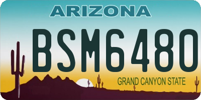 AZ license plate BSM6480