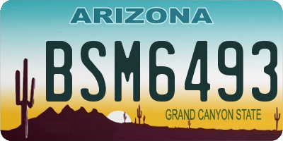 AZ license plate BSM6493
