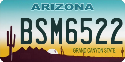 AZ license plate BSM6522