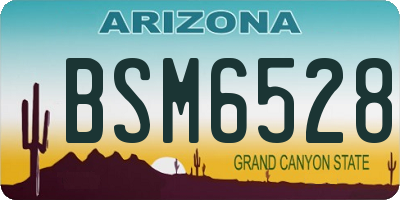 AZ license plate BSM6528