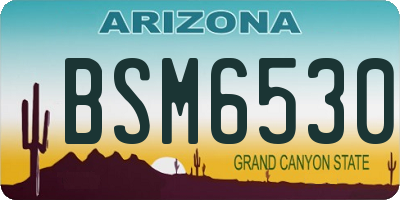 AZ license plate BSM6530
