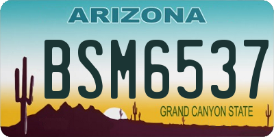 AZ license plate BSM6537