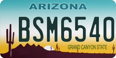 AZ license plate BSM6540