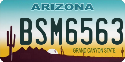 AZ license plate BSM6563