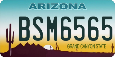 AZ license plate BSM6565