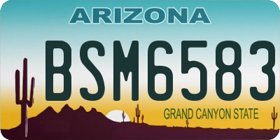 AZ license plate BSM6583