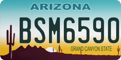 AZ license plate BSM6590