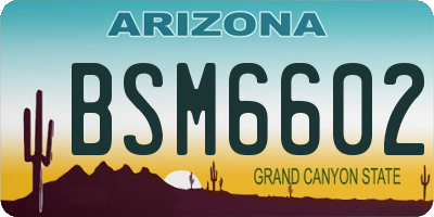 AZ license plate BSM6602