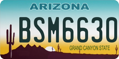 AZ license plate BSM6630