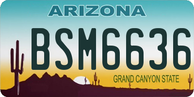 AZ license plate BSM6636