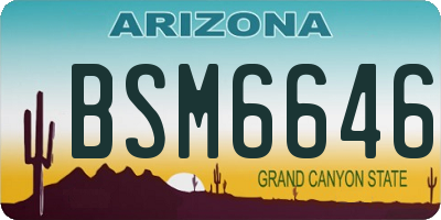 AZ license plate BSM6646