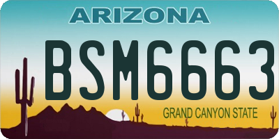 AZ license plate BSM6663