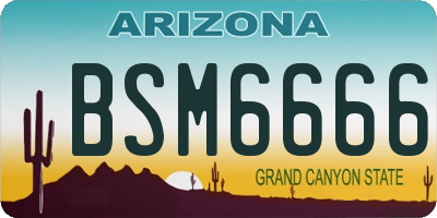 AZ license plate BSM6666