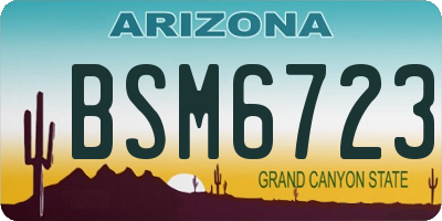 AZ license plate BSM6723