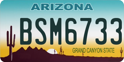 AZ license plate BSM6733