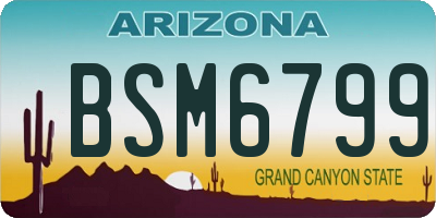 AZ license plate BSM6799