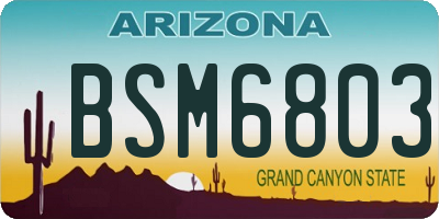 AZ license plate BSM6803