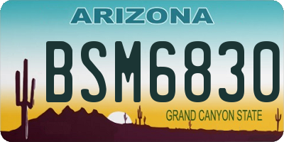 AZ license plate BSM6830