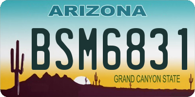 AZ license plate BSM6831