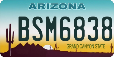 AZ license plate BSM6838