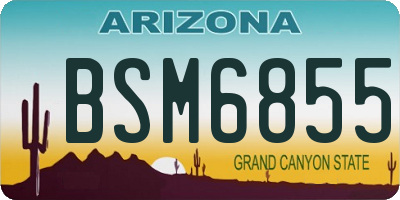 AZ license plate BSM6855