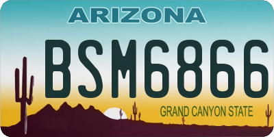 AZ license plate BSM6866