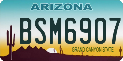 AZ license plate BSM6907