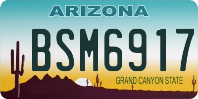 AZ license plate BSM6917