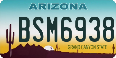 AZ license plate BSM6938