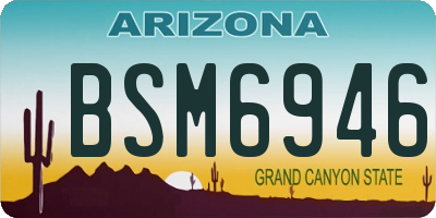 AZ license plate BSM6946