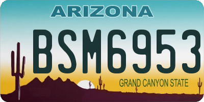 AZ license plate BSM6953